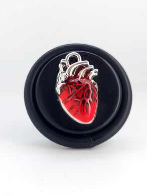 Anello Cuore anatomia